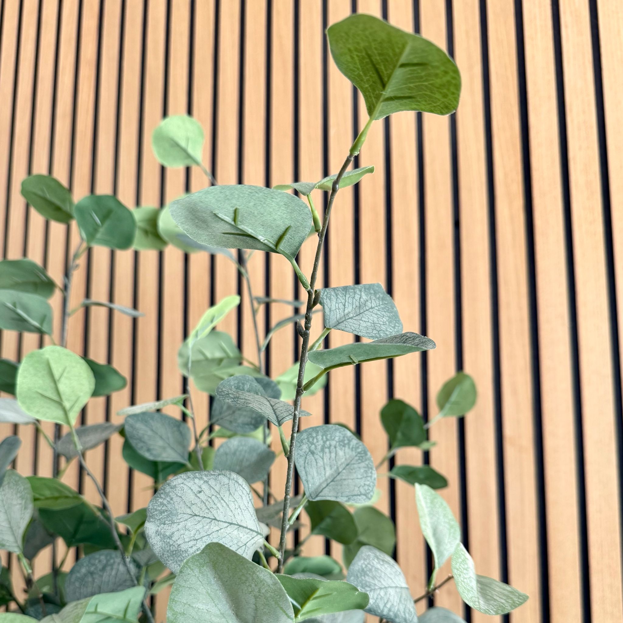 Artificial Eucalyptus Tree UV/IFV In Lena Beige Planter