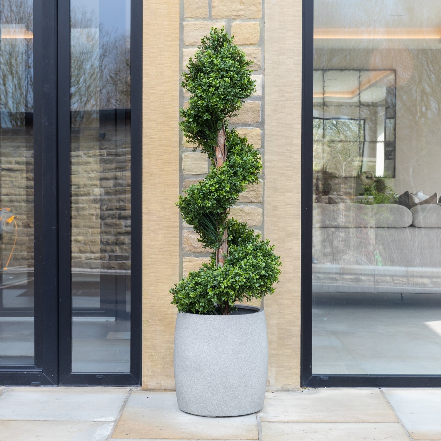 Artificial Buxus Spiral Stem Topiary in Grey Planter