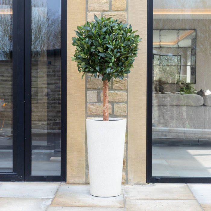 Artificial Laurel Bay Tree in Tall White Planter