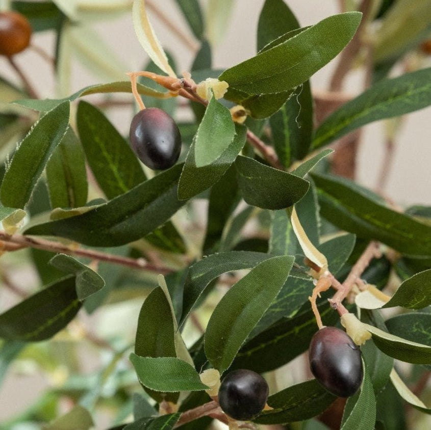 Artificial Olive Tree UV/IFV