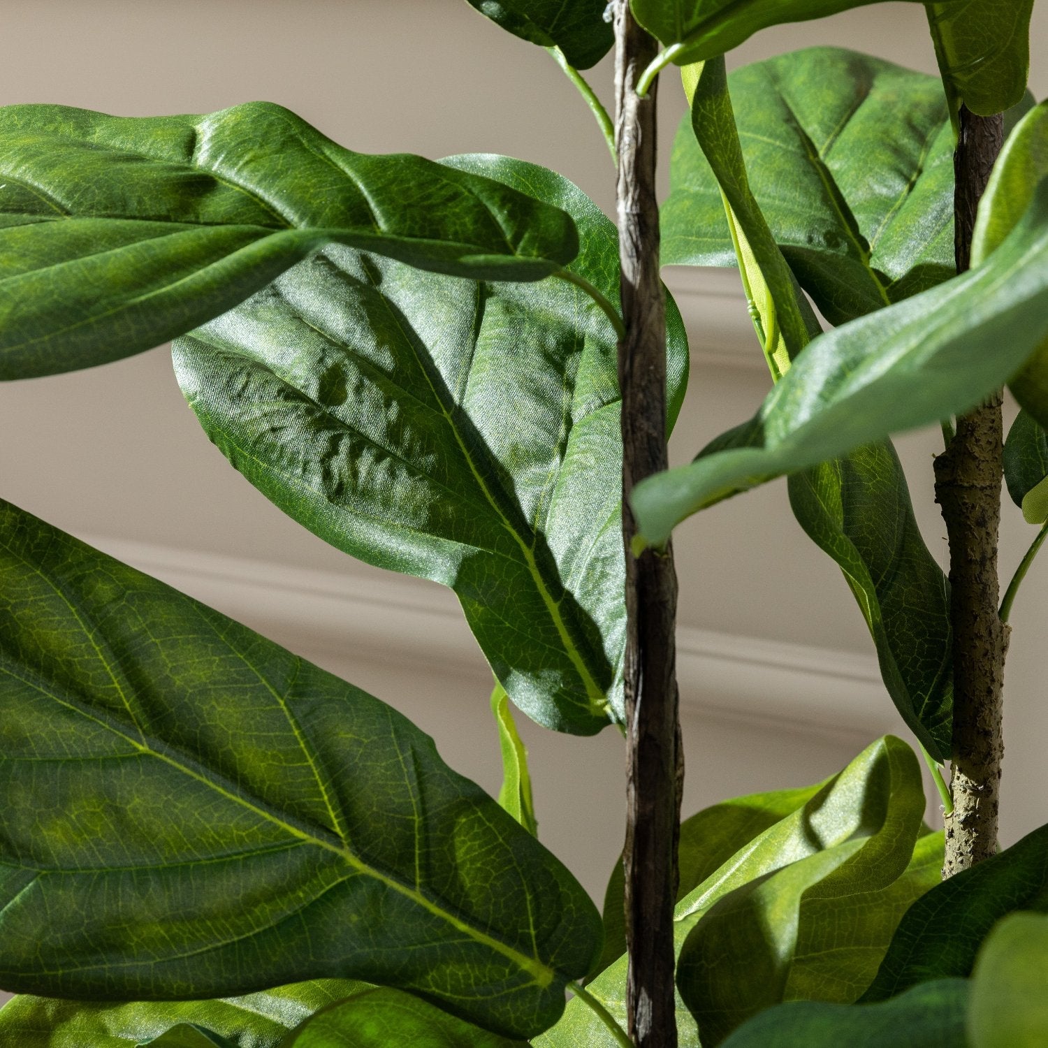 Artificial Fiddle Fig Tree UV/IFV in Harrith Beige Planter