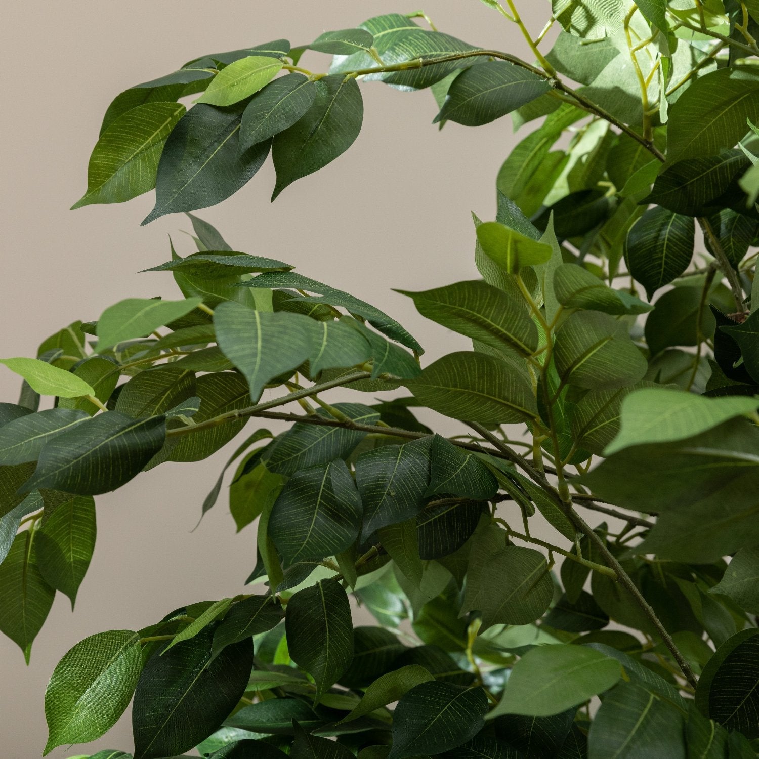Artificial Ficus Tree UV/IFV in Black Planter