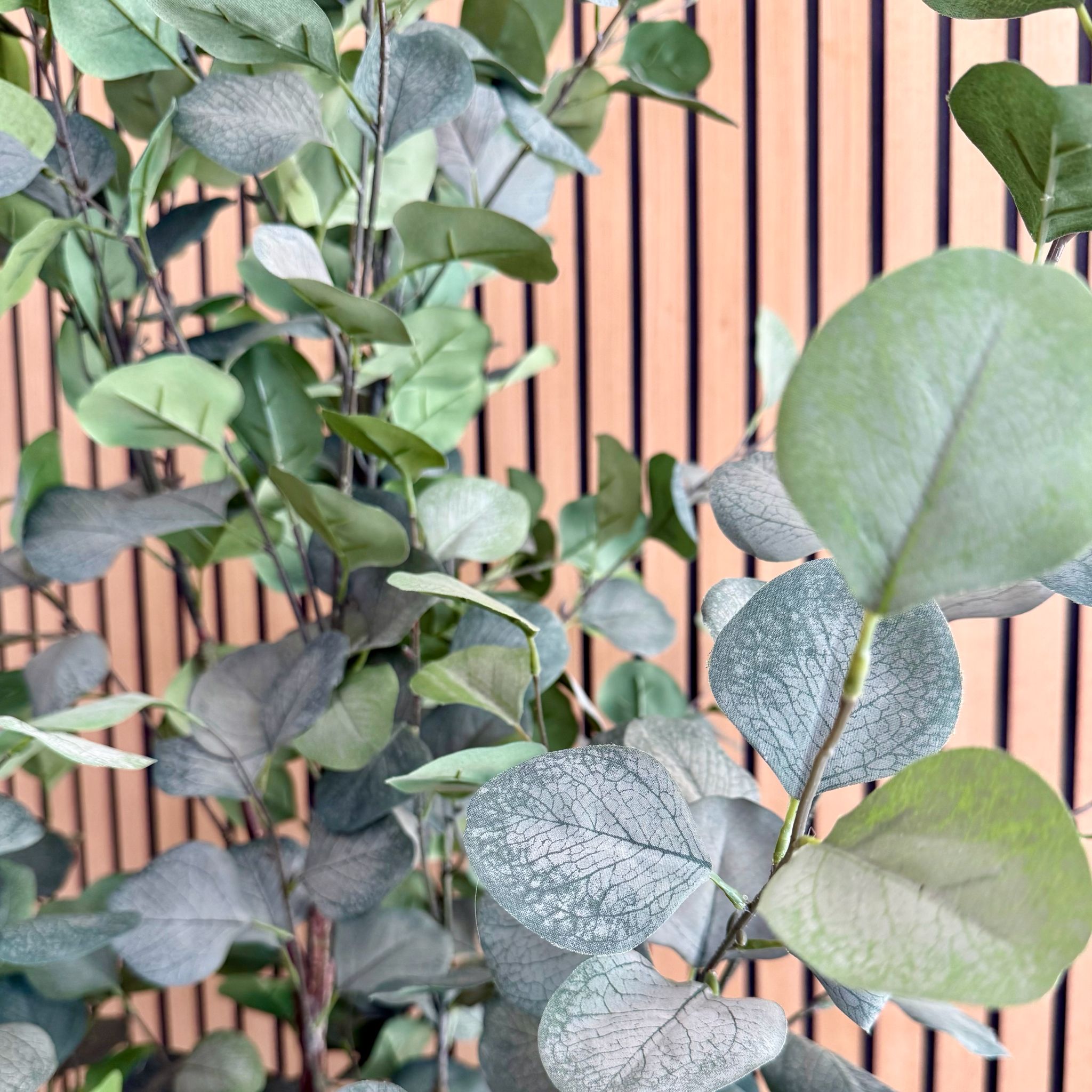 Artificial Eucalyptus Tree UV/IFV In Lena Beige Planter